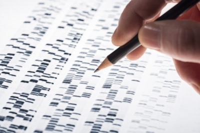 Wissenschaftler untersucht DNA-Gel, das in der Genetik, Forensik, Pharmaforschung, Biologie und Medizin Anwendung findet.