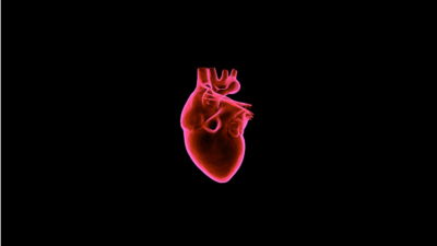 Die Sterblichkeit durch Herzkrankheiten in Deutschland ist im Vergleich zum Vorjahr insgesamt gesunken. So sind 40.334 und damit mehr als 7.000 Menschen weniger an Herzinsuffizienz gestorben, wie der Anfang Februar veröffentlichte Herzbericht zeigt.