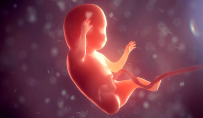Der medizinische Fortschritt in der Reproduktionsmedizin ist enorm, das Embryonenschutzgesetz stammt aber noch aus dem Jahr 1990. Die BÄK hat nun den Gesetzgeber dazu aufgerufen, die aktuellen rechtlichen Regelungen zu überarbeiten.